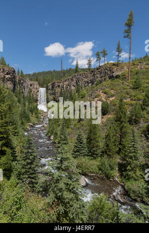 Tumalo Wasserfall, eine 97-Fuß am Tumalo Creek, in der Cascade Range westlich von Bend, Oregon, USA, Nordamerika Stockfoto