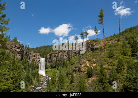 Tumalo Wasserfall, eine 97-Fuß am Tumalo Creek, in der Cascade Range westlich von Bend, Oregon, USA, Nordamerika Stockfoto