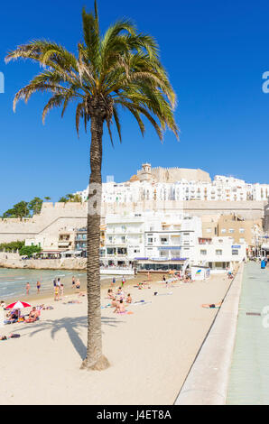 Papa Luna Schloss und Altstadt mit Blick auf den Strand von Playa Norte, Peniscola, Spanien Stockfoto