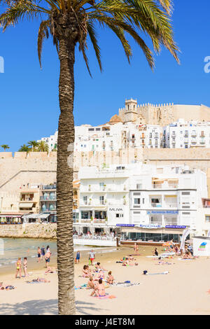 Papa Luna Schloss und Altstadt mit Blick auf den Strand von Playa Norte, Peniscola, Spanien Stockfoto