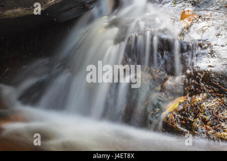Kleiner Wasserfall im tiefen Wald in Nationalpark Stockfoto
