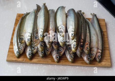 Frisch roch Fische auf weißem Hintergrund für Lebensmittel Stockfoto