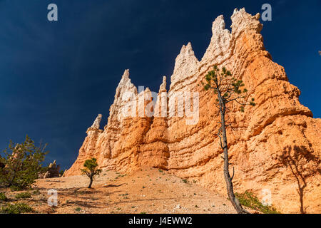 Hoodoo Felsformationen im Bryce-Canyon-Nationalpark, Utah, Vereinigte Staaten Stockfoto