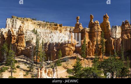 Hoodoo Felsformationen im Bryce-Canyon-Nationalpark, Utah, Vereinigte Staaten Stockfoto