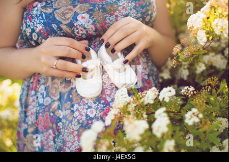 Schwangeren Bauch halten Baby Booties. Gesunde Schwangerschaft. Neugeborenes Baby Booties in Händen der Eltern. Schwangere Frau Bauch Stockfoto