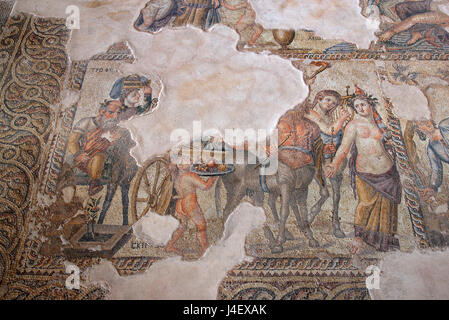 Beeindruckende Mosaikboden im "Haus des Aion", im archäologischen Park von Kato Paphos (UNESCO-Weltkulturerbe Stockfoto