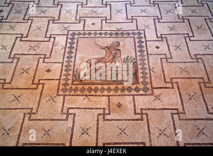 Das "Narcissus" Mosaik in das "Haus des Dionysos" in den Archaeoological Park von Paphos (UNESCO Weltkulturerbe), Zypern. Stockfoto