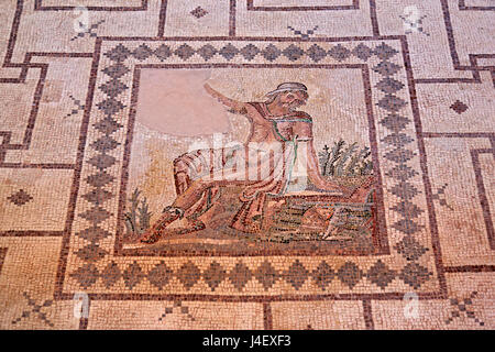 Das "Narcissus" Mosaik in das "Haus des Dionysos" in den Archaeoological Park von Paphos (UNESCO Weltkulturerbe), Zypern. Stockfoto