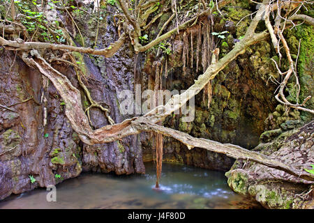 Die "Bäder der Aphrodite' in der Akamas Halbinsel, in der Nähe von Latchi Village, Paphos, Zypern Insel. Stockfoto