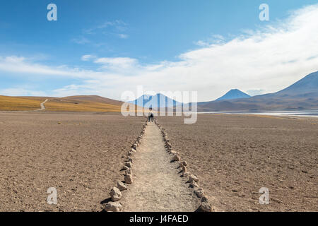 Pfad im Kommandobereich/Miniques und Miscanti Lagune - Atacama-Wüste, Chile Stockfoto