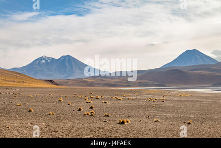 Miniques und Miscanti Lagune Bereich - Atacama-Wüste, Chile Stockfoto