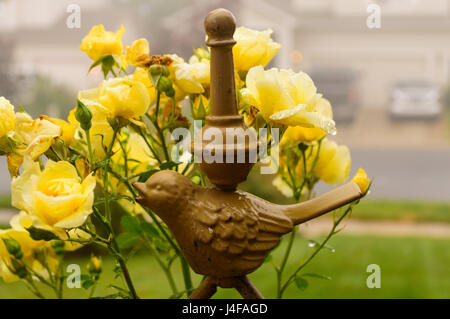 Gelbe Rosen und einem Bronze Vogel im Nebel Stockfoto