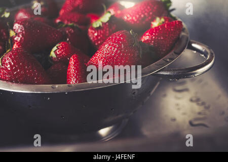 Nassen Erdbeeren im Sieb stehen im Spülbecken Stockfoto