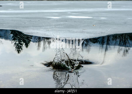 Ein Spritzer Wasser springen von einem zugefrorenen See Stockfoto