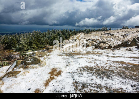 Landschaft mit Bäumen im Bereich Harz, Deutschland. Stockfoto