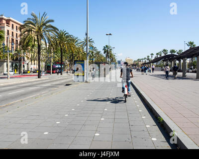 Eine männliche Radsportler, die auf einem Radweg entlang Passeig de Colom, Barcelona, Spanien. Stockfoto