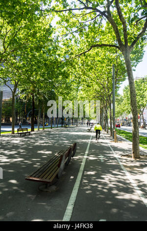 Ein weibliche Radfahrer ihr Fahrrad auf einem Radweg auf dem Baum gesäumt Avinguda Diagonal, Barcelona, Spanien Stockfoto