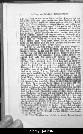 "Schurz Lebenserinnerungen" bezieht sich auf die Memoiren des deutsch-amerikanischen Politikers und Journalisten Carl Schurz. Das Werk bietet Einblicke in seine Erfahrungen und Beiträge zum politischen Leben der USA im 19. Jahrhundert. Stockfoto