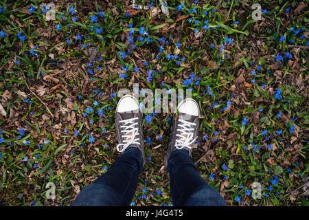 Teenager Beine in Turnschuhen und Jeans stehen auf Frühling Boden mit blauen Blumen, Draufsicht, ungewöhnlichen Perspektive Stockfoto