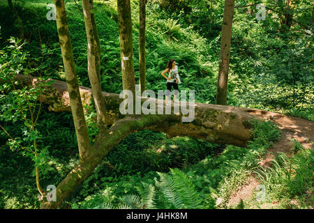 Batumi, Adscharien, Georgia - 27. Mai 2016: Frau Tourist einen gefallenen Tulpenbaum bei Besichtigung des Botanischen Gartens In sonnigen Sommer steht auf Stockfoto