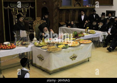 Israel, Bnei Brak, Rabbi Meir Rosenbaum präsidiert die Tu B'shvat Tish auf die Premishlan Gemeinde Stockfoto