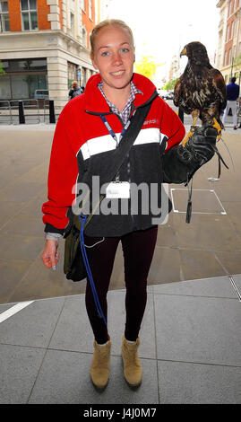 Jaime und Jerry die Hawk arbeiten am Hauptsitz der BBC. Jerry ist eine Taube Jäger zuständig für unerwünschte Vögel von gewerblich genutzten Gebäuden vergraulen Featuring: Jaime und Jerry The Hawk wo: London, Vereinigtes Königreich bei: 11. April 2017 Credit: WENN.com Stockfoto