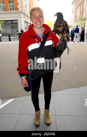 Jaime und Jerry die Hawk arbeiten am Hauptsitz der BBC. Jerry ist eine Taube Jäger zuständig für unerwünschte Vögel von gewerblich genutzten Gebäuden vergraulen Featuring: Jaime und Jerry The Hawk wo: London, Vereinigtes Königreich bei: 11. April 2017 Credit: WENN.com Stockfoto