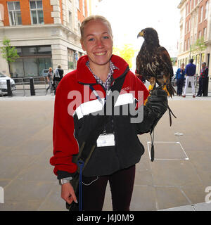 Jaime und Jerry die Hawk arbeiten am Hauptsitz der BBC. Jerry ist eine Taube Jäger zuständig für unerwünschte Vögel von gewerblich genutzten Gebäuden vergraulen Featuring: Jaime und Jerry The Hawk wo: London, Vereinigtes Königreich bei: 11. April 2017 Credit: WENN.com Stockfoto