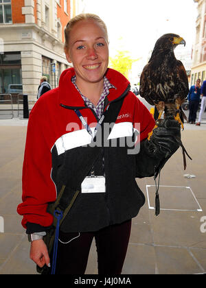 Jaime und Jerry die Hawk arbeiten am Hauptsitz der BBC. Jerry ist eine Taube Jäger zuständig für unerwünschte Vögel von gewerblich genutzten Gebäuden vergraulen Featuring: Jaime und Jerry The Hawk wo: London, Vereinigtes Königreich bei: 11. April 2017 Credit: WENN.com Stockfoto