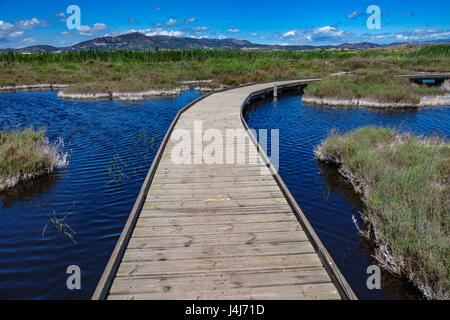 Holzbrücke über den See Stockfoto