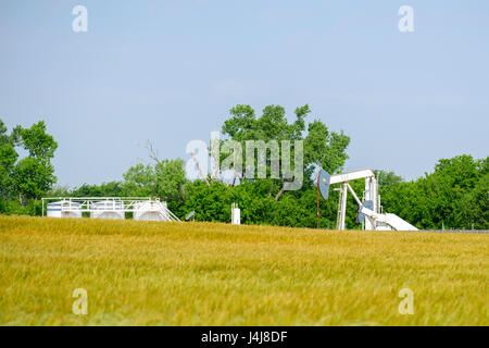 Eine Pumpe Jack und Tank Batterie hinter einem reifenden Weizenfeld in Oklahoma, USA. Stockfoto