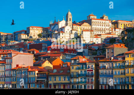 Luftbild mit traditionellen bunten malerischen Häusern in der Altstadt von Porto am sonnigen Morgen, Portugal Stockfoto