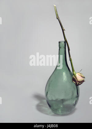 Grüne ovale Vase aus transparentem Glas, auf dem Hals der Vase ist beigefügt eine Rose mit einer Knospe, einen grauen Hintergrund und auf der linken Seite, ein leerer Raum für Te Stockfoto