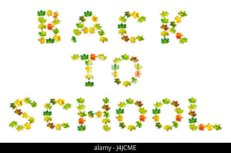 BACK TO SCHOOL Text bestehend aus mehrfarbigen Maple leafs Herbst. Isoliert auf weißem Hintergrund. Stockfoto