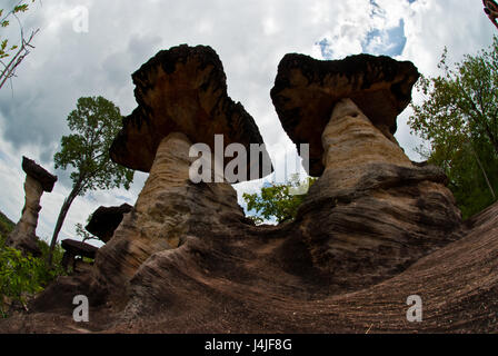 Schalenförmigen Stein. Der Pa Hin Ngam Nationalpark in Chaiyaphum, Thailand Stockfoto