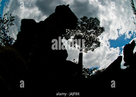 Schalenförmigen Stein. Der Pa Hin Ngam Nationalpark in Chaiyaphum, Thailand Stockfoto