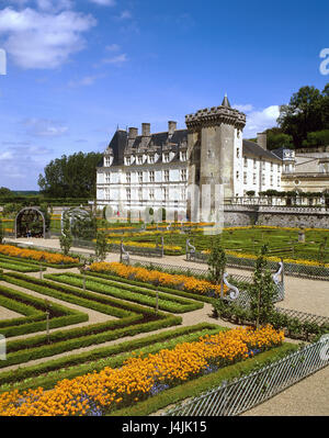 Frankreich, Loire-Tal, Touraine, Chateau de Villandry, Schloss Garten Europas, Departement Loiret, Region Centre, Avenue V De La Loire, Loiretal, Indre-et-Loire, Ort von Interesse, Sperre, Runde Anlage baut im Jahre 1536, Renaissance-Garten, Garten, Gärten, Renaissance, Ziergarten, Park, Schlosspark, Pflanzen, Pflanzung, Schmuck, Wahrzeichen Stockfoto