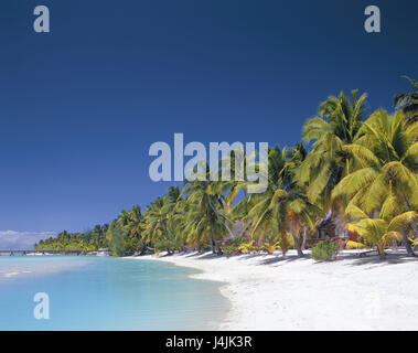 Neuseeland, Cook-Inseln, Aitutaki, Aitutaki Pearl Beach Resort, Palm Beach New Zealand, southern Cook Islands, Pacific, Pazifik-Inseln, Polynesien, Lagune, Strand, Sandstrand, Palmen, Meer, Traumstrand, Traum Urlaub, Reiseziel, Ziel Stockfoto