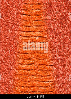 Nanodrähte auf Nickel. Farbige scanning Electron Schliffbild (SEM) Nanodraht Strukturen auf eine Nickel-Oberfläche durch Impulse eines Laserstrahls gebildet. Diese Forschung beinhaltet die Verwendung von Lasern, Ätzen und Abtragen von Metall und Halbleiter Oberflächen. Die daraus resultierende nanos Stockfoto