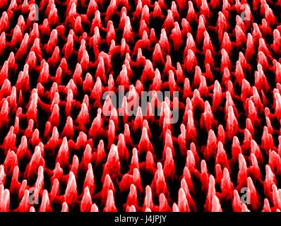 Nanostrukturen auf Silizium. Farbige scanning Electron Schliffbild (SEM) von Nanostrukturen auf eine Siliziumoberfläche durch einen Laserstrahl gebildet. Diese Forschung beinhaltet die Verwendung von Lasern, Ätzen und Abtragen von Metall und Halbleiter Oberflächen. Die daraus resultierende Nanostruktur Stockfoto