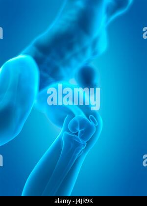 Menschlichen Knie Anatomie, Abbildung. Stockfoto