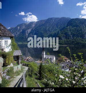 Österreich, Salzkammer Eigenschaft, Hallstatt, lokale anzeigen, Hallstätter See Europas, Mitteleruropa, Bundesland Oberösterreich, Markt-Gemeinde, Blick auf einen Ort, Ort, Berg Landschaft, Berge, Berge, Kirche, evangelische Kirche, See, Bergsee, solide tiefe Dachstein, UNESCO-Welterbe, Sommer Stockfoto