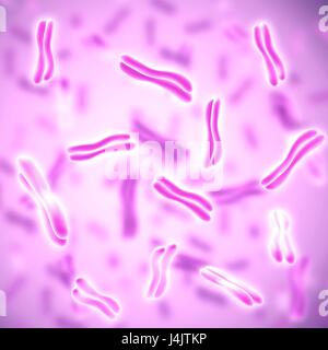 Abbildung der menschlichen Chromosomen. Stockfoto