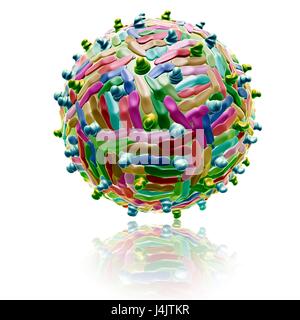 Abbildung von einem West-Nil-Virus-Partikel. Stockfoto