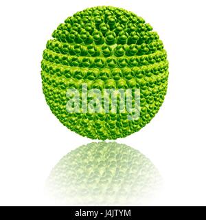 Abbildung von einem West-Nil-Virus-Partikel. Stockfoto