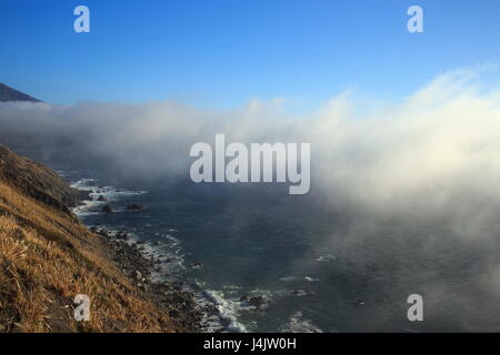 Neblige Küste in der Nähe von Big Sur, Kalifornien Stockfoto