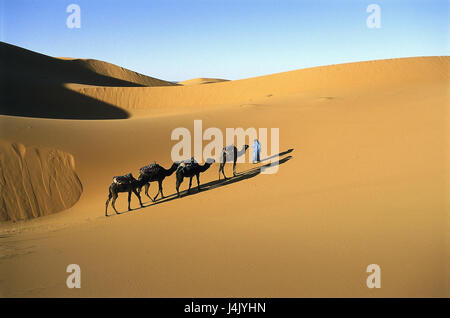 Marokko, Erg Chebbi, Merzouga, Sand Dune, Tuaregg, Kamele keine Model-Release, Afrika, Sanddüne, Düne, Dünen Landschaft, Mann, lokale, marokkanisch, Wohnwagen, Kamel-Treiber, Kamel-Karawane, Trockenheit, Trockenheit, Sand, Leben-Trägerflugzeuge, remote Stockfoto