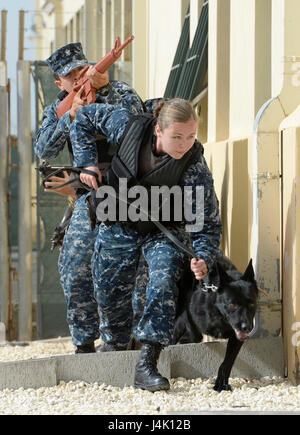 161108-N-GC965-300 SIGONELLA, Sizilien (8. November 2016) Petty Officer 2. Klasse Molly Frazier, ein militärischer Arbeitshund Handler führt eine Eingreiftruppe Sicherheit während einer Anti-Terror Force Schutz Training Evolution an Bord Sigonella Naval Air Station (NAS). NAS Sigonella ist eine operative an Land stützen, die USA, verbündet, ermöglicht und Partnerland zwingt sein, wo sie gebraucht werden und wann sie gebraucht werden, um Sicherheit und Stabilität in Europa, Afrika und Südwestasien zu gewährleisten. (Foto: U.S. Navy Petty Officer 2. Klasse Ramon Go/freigegeben) Stockfoto