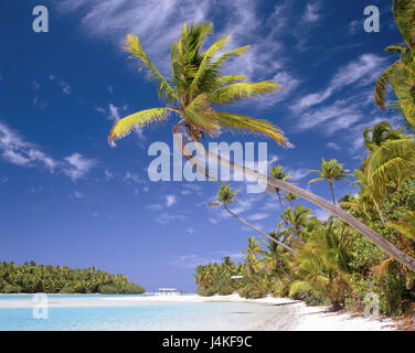 Neuseeland, Cook-Inseln, Aitutaki, One Foot Island, Palm Beach New Zealand, southern Cook Islands, Pacific, Pazifik-Inseln, Polynesien, Strand, Sandstrand, Palmen, Palm Island, den Pazifischen Ozean, Meer, Traumstrand, Traumurlaub, Urlaubsziel, Destination Stockfoto