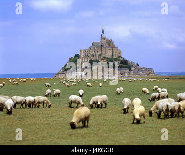 Frankreich, Normandie, Le Mont Saint Michel, Wiese, Schafe Europa Abteilung einige, Mont St. Michel, Kloster Berg, der Benediktiner-Abtei, historisches Baudenkmal, Ort von Interesse, UNESCO-Weltkulturerbe, Kultur, Reiseziel, Weide, Schafherde, Säugetiere, Tiere, Landwirtschaft, draußen profitieren Stockfoto